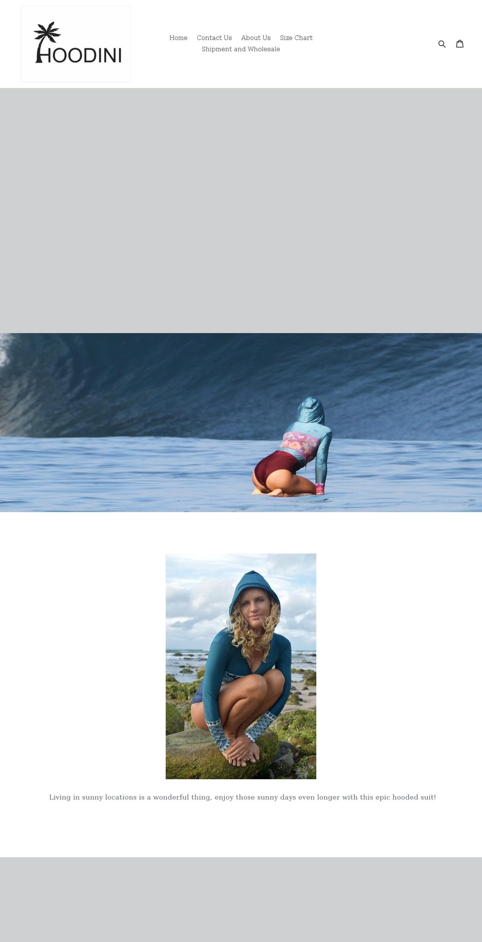 thehoodini.com — Shopify storefront screenshot