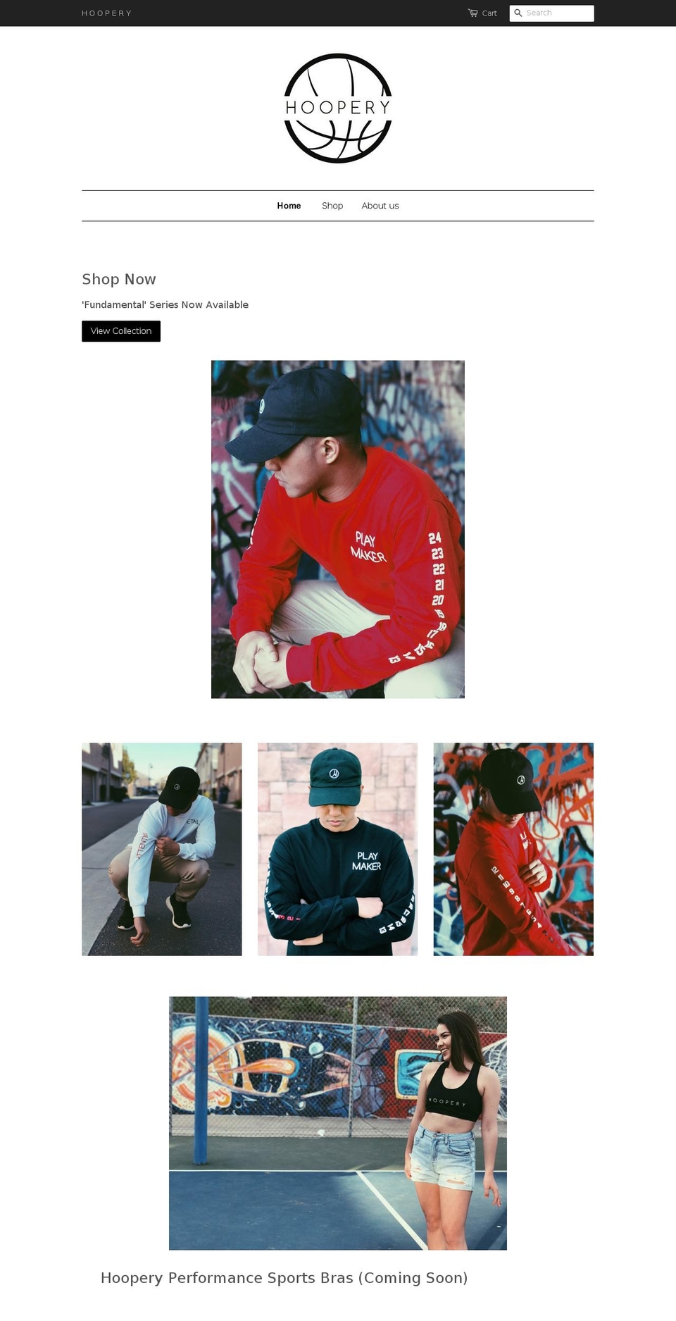 thehoopery.com shopify website screenshot