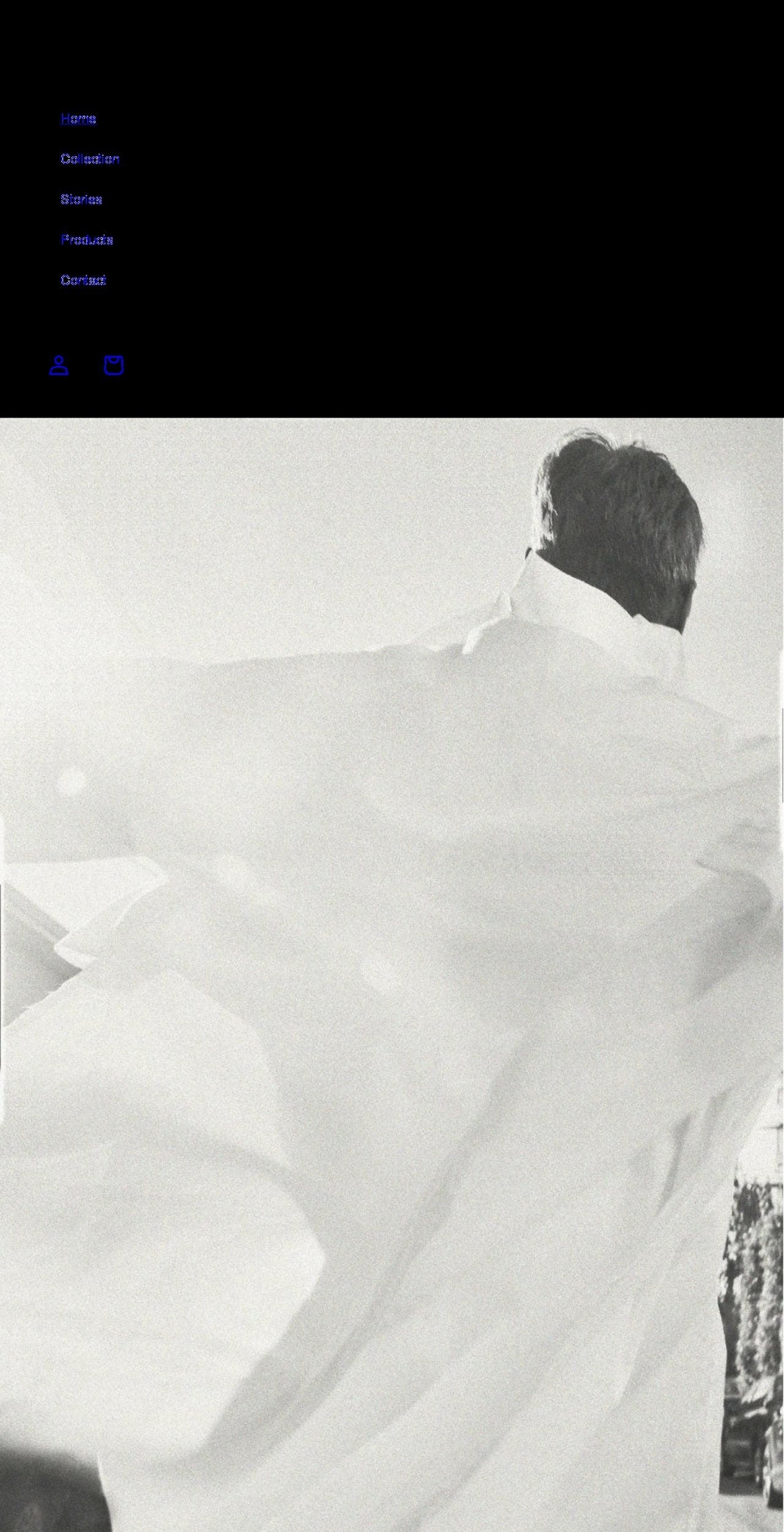 theidiott.com shopify website screenshot