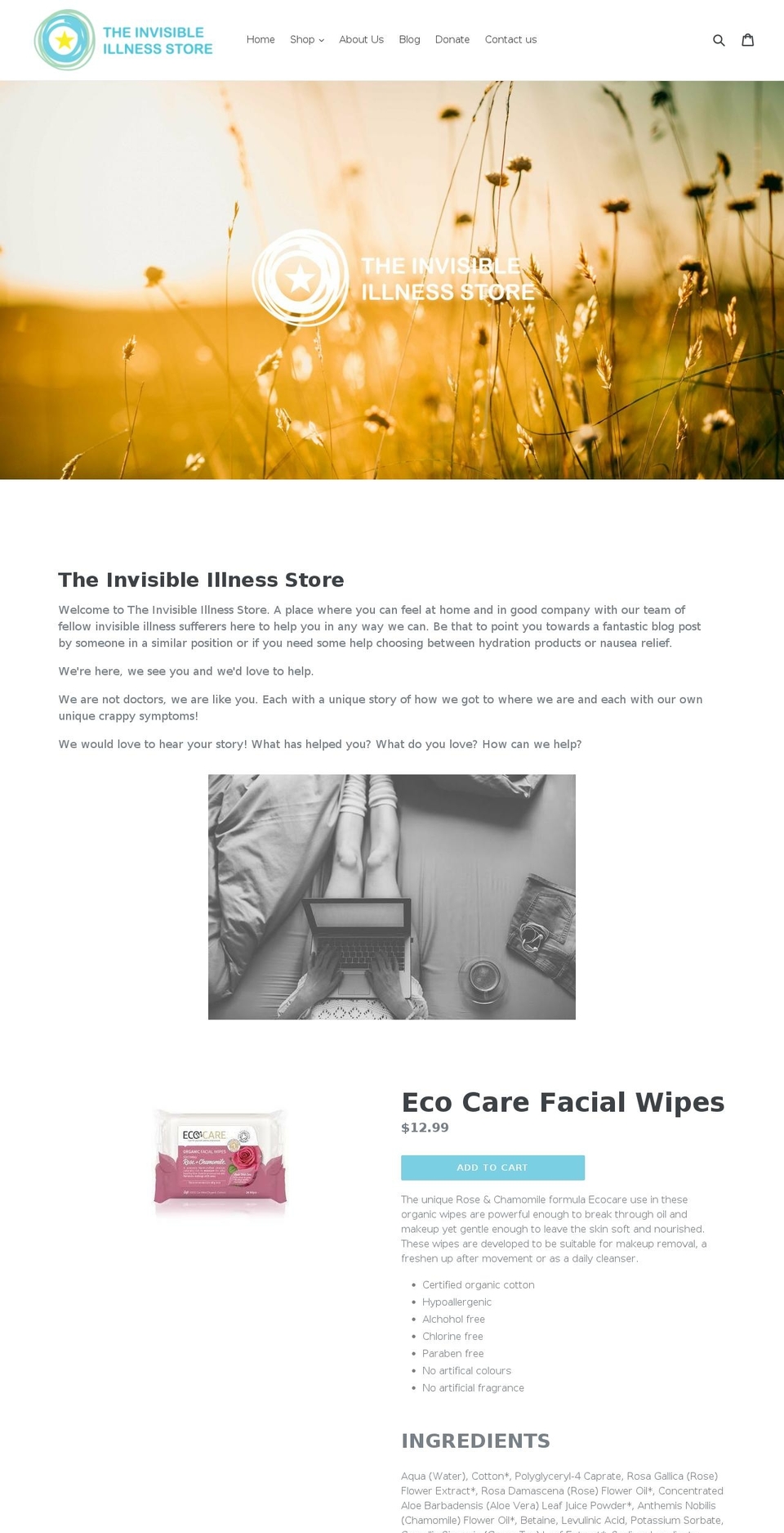 theinvisibleillnessstore.com — Shopify storefront screenshot