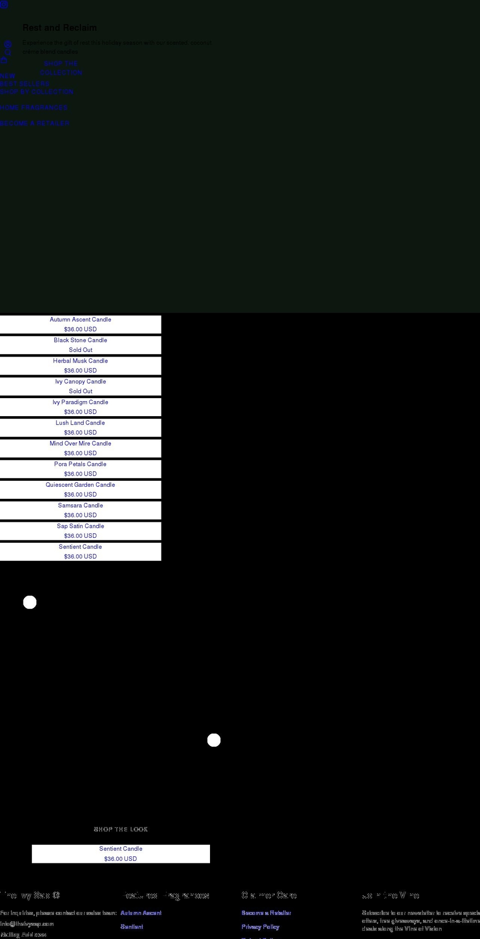 theivysap.com shopify website screenshot