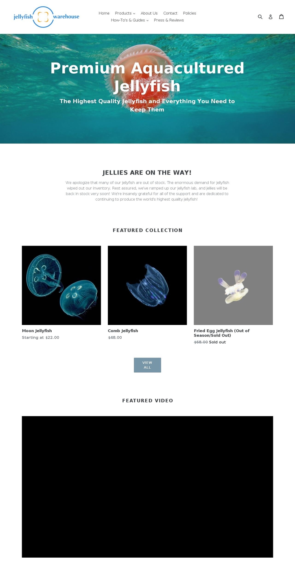 thejellyfishwarehouse.com — Shopify storefront screenshot