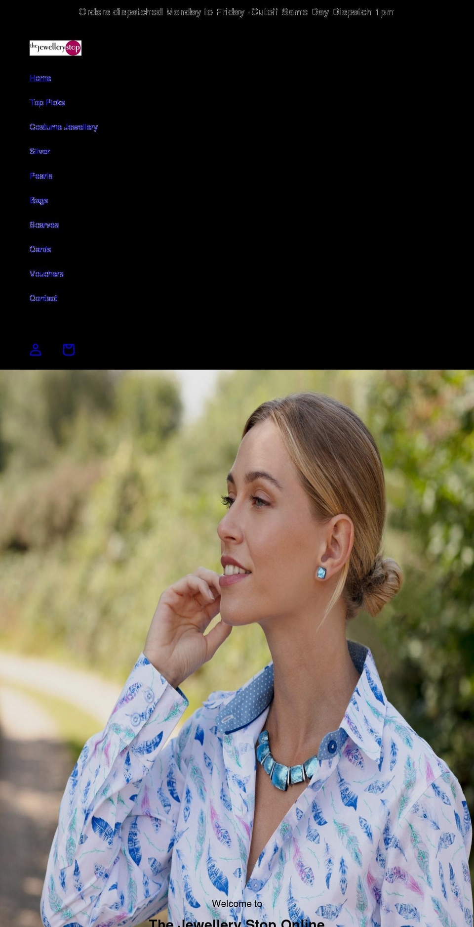 thejewellerystop.com shopify website screenshot