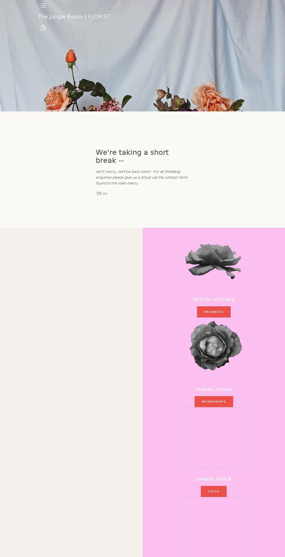 thejungleroom.net shopify website screenshot