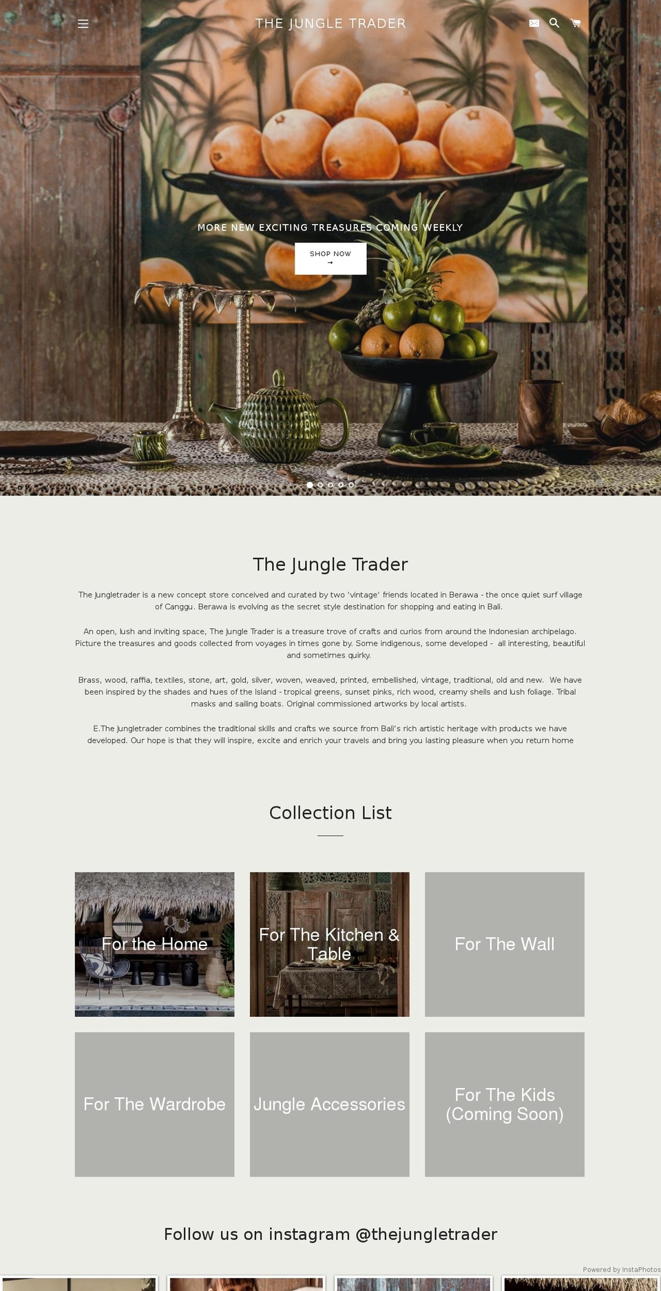 thejungletrader.com shopify website screenshot