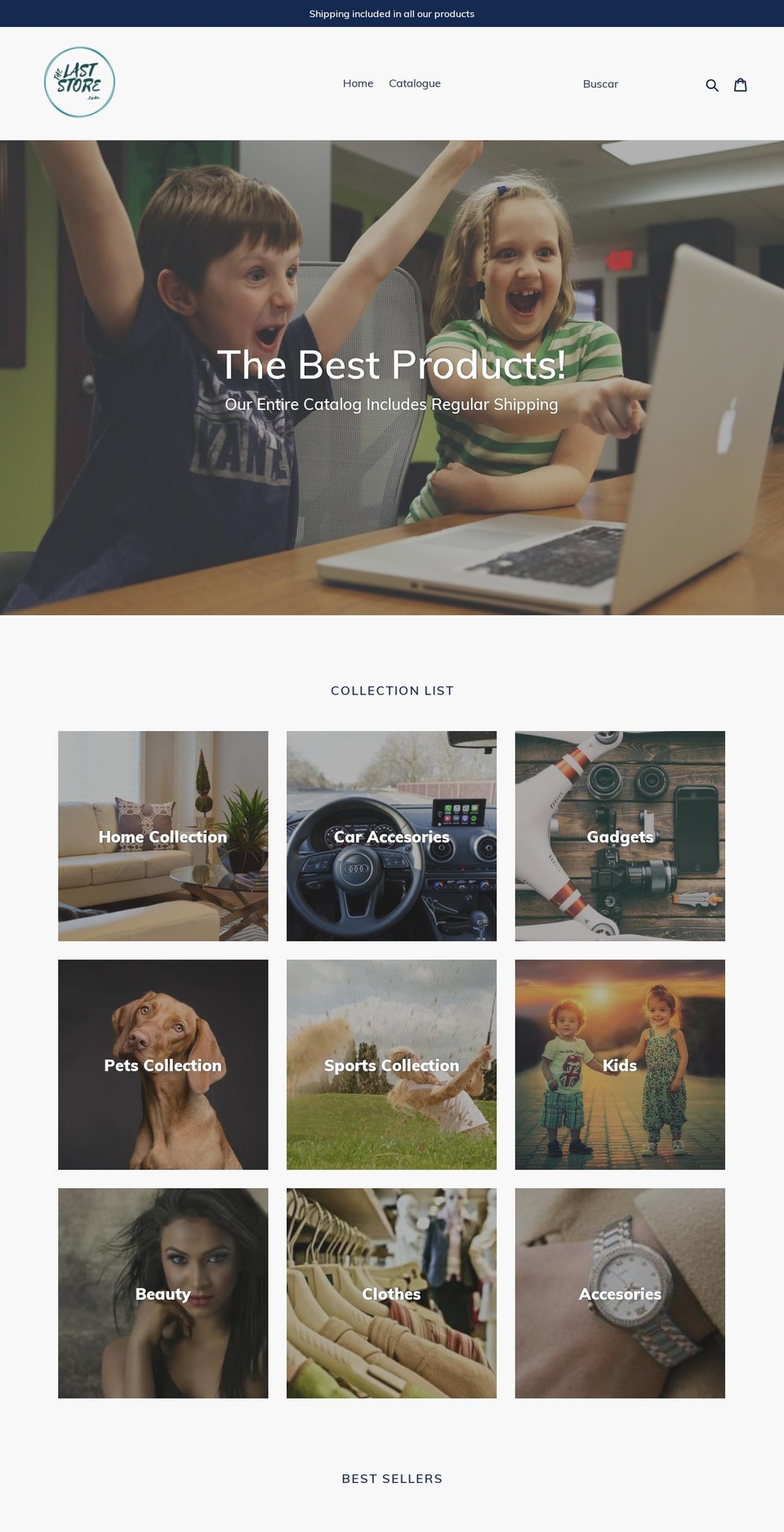 thelaststore.com shopify website screenshot
