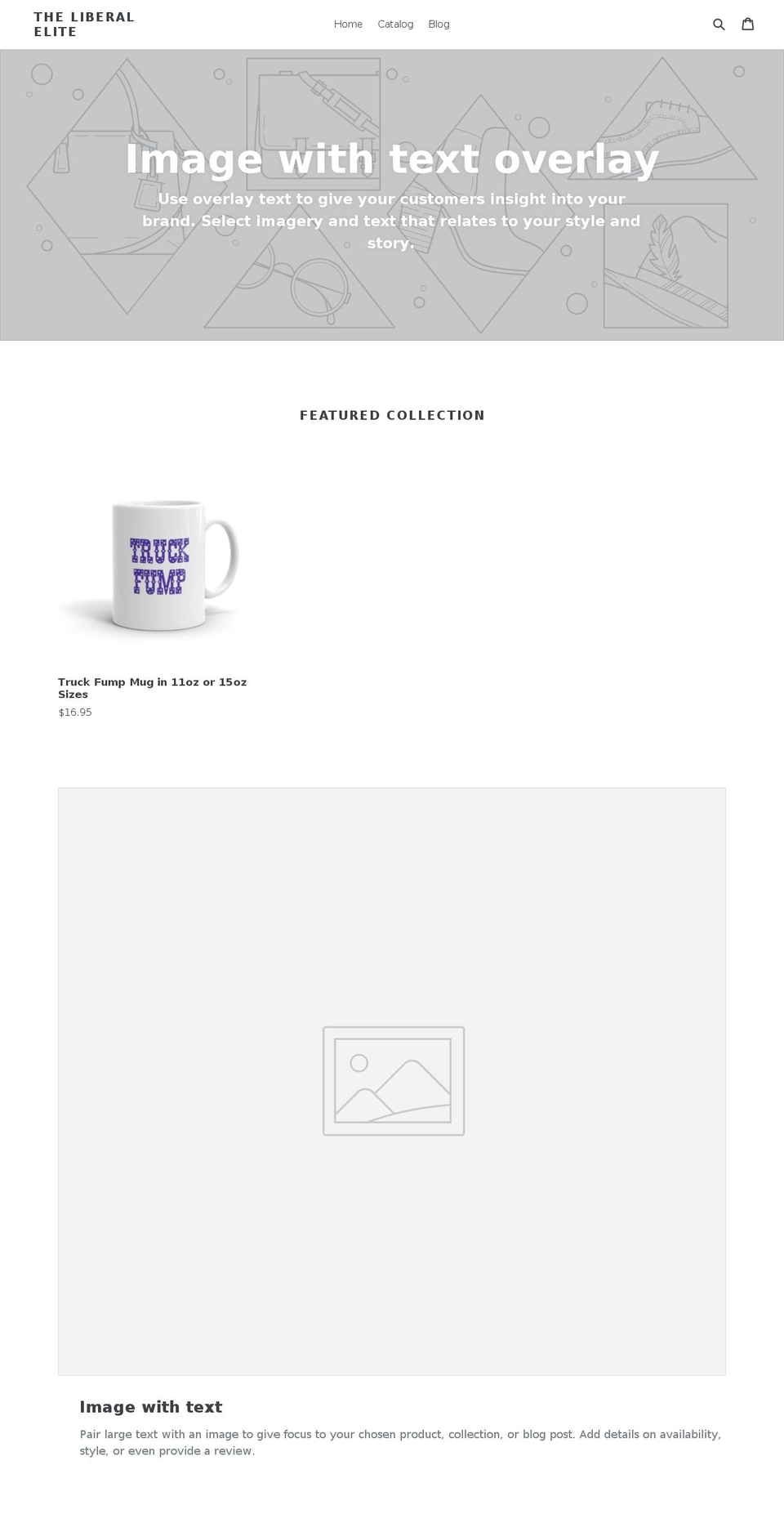 theliberalelite.com shopify website screenshot