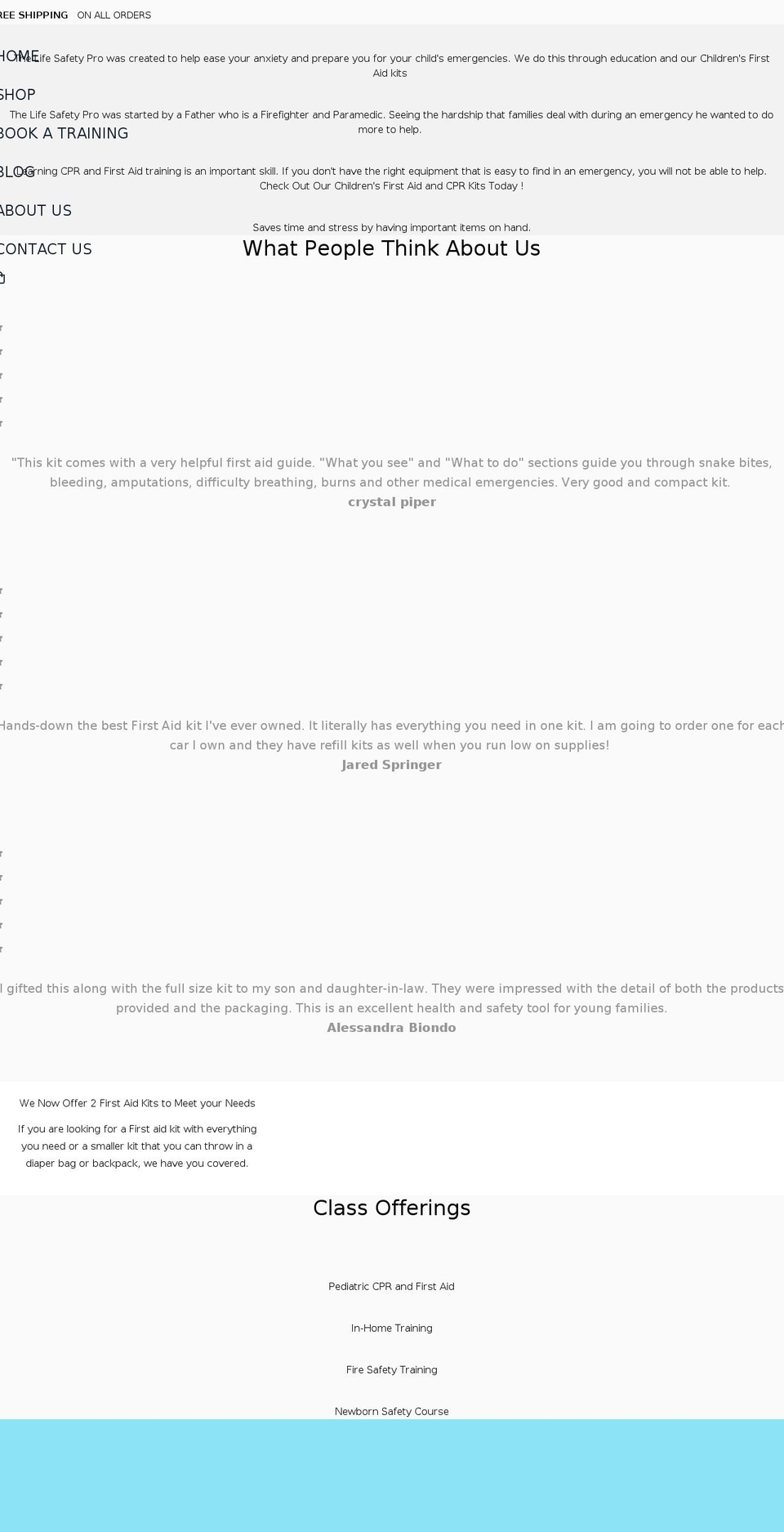 thelifesafetypro.com shopify website screenshot