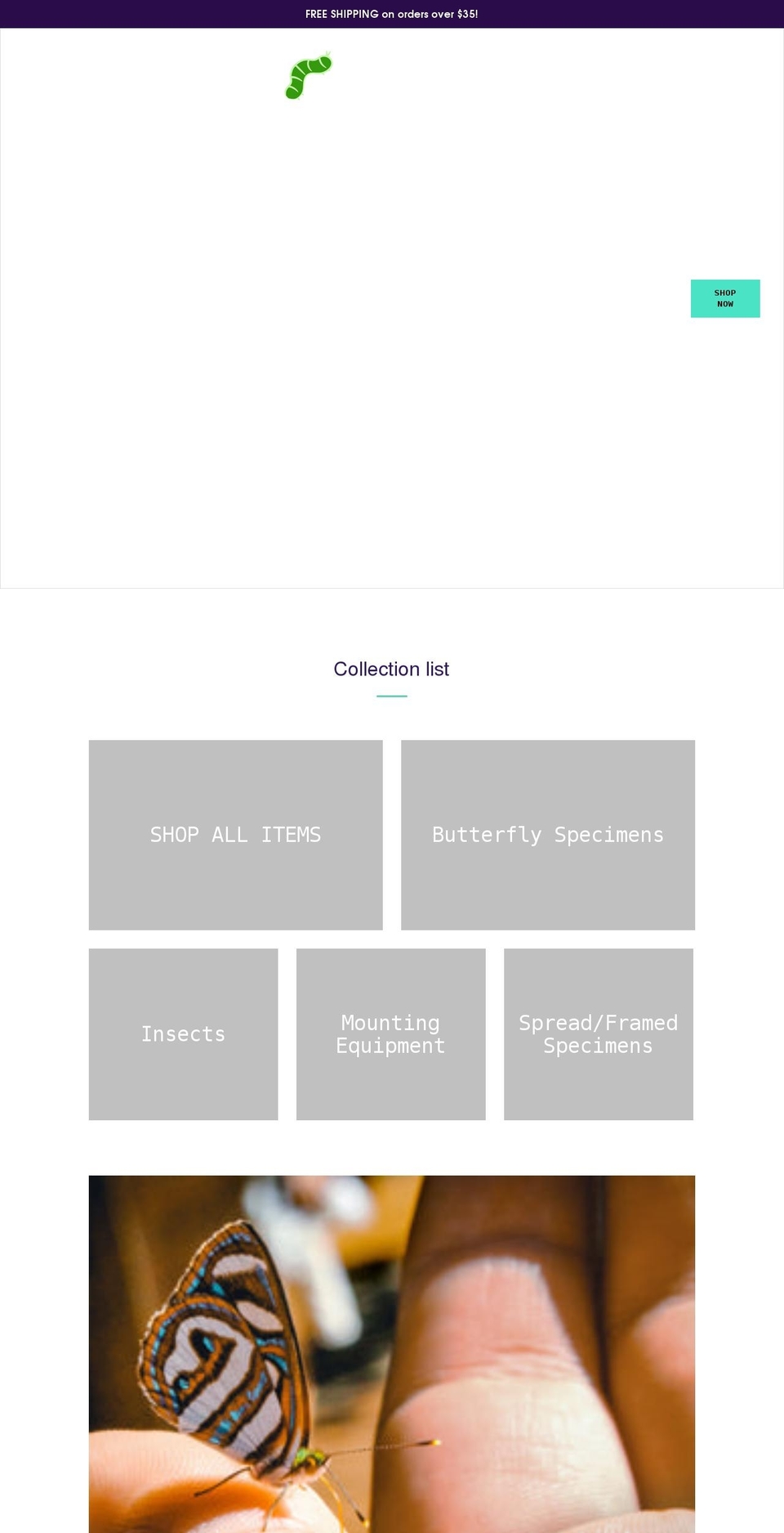 thelittlecaterpillar.com shopify website screenshot