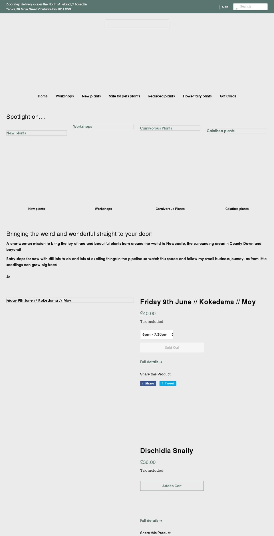 thelittleshopofplants.co.uk shopify website screenshot