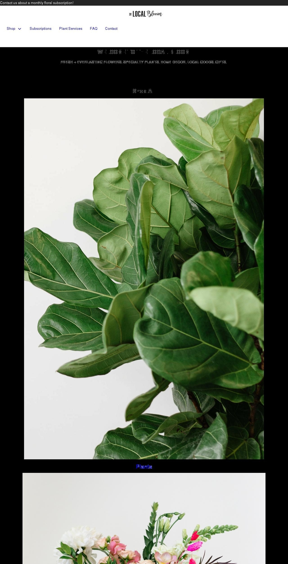 thelocalbloom.ca shopify website screenshot