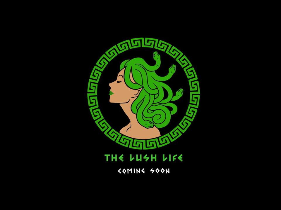 thelushlife.com — Shopify store on .com