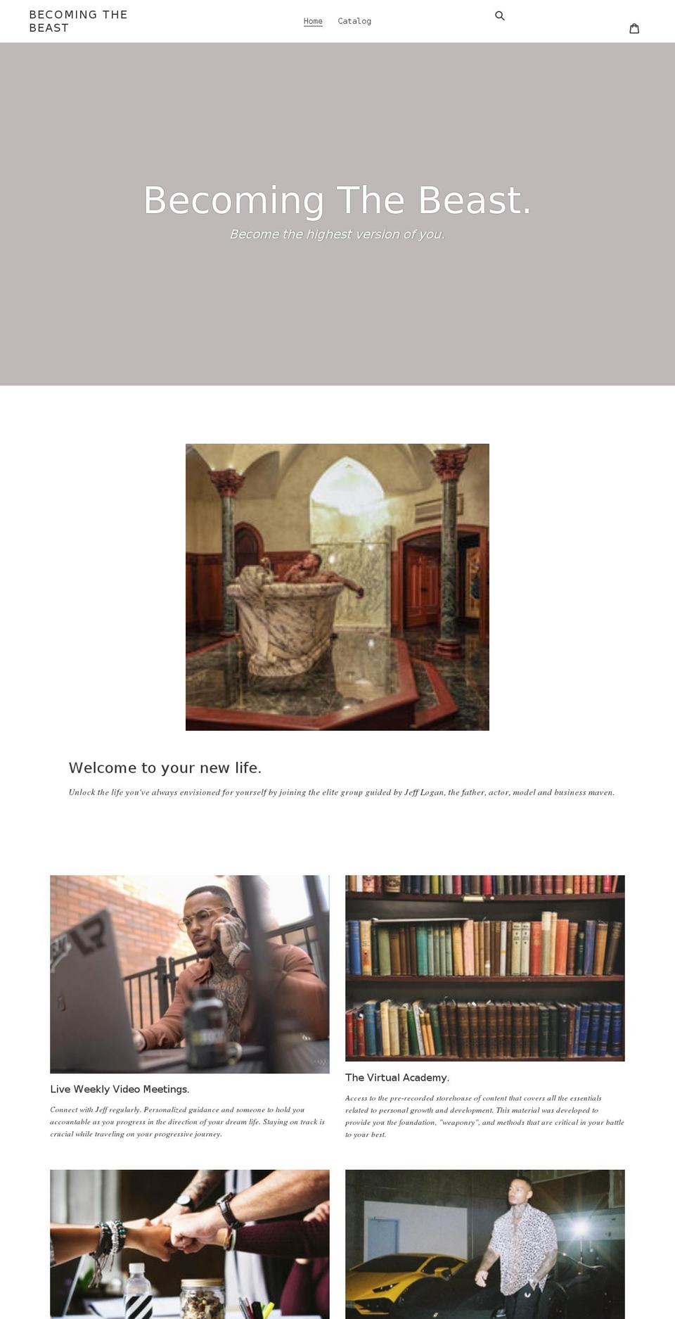 theluxwave.com shopify website screenshot