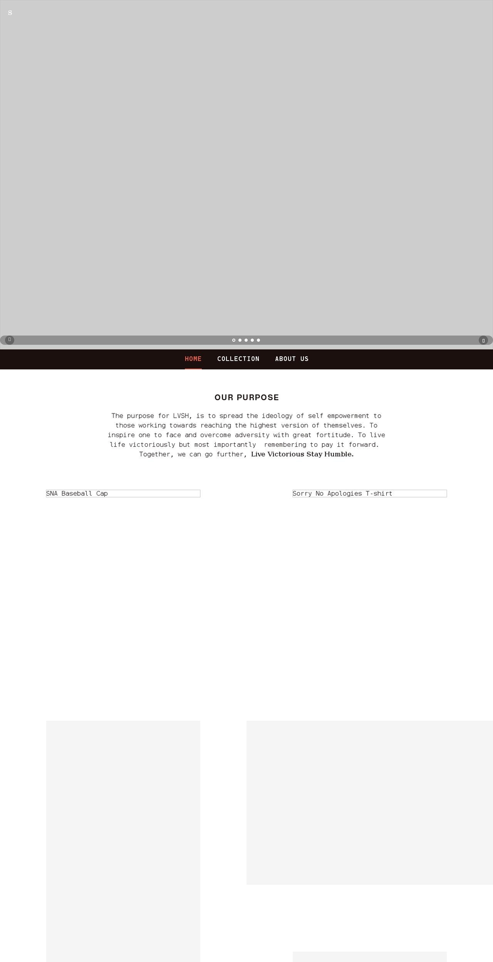 thelvshboutique.com shopify website screenshot