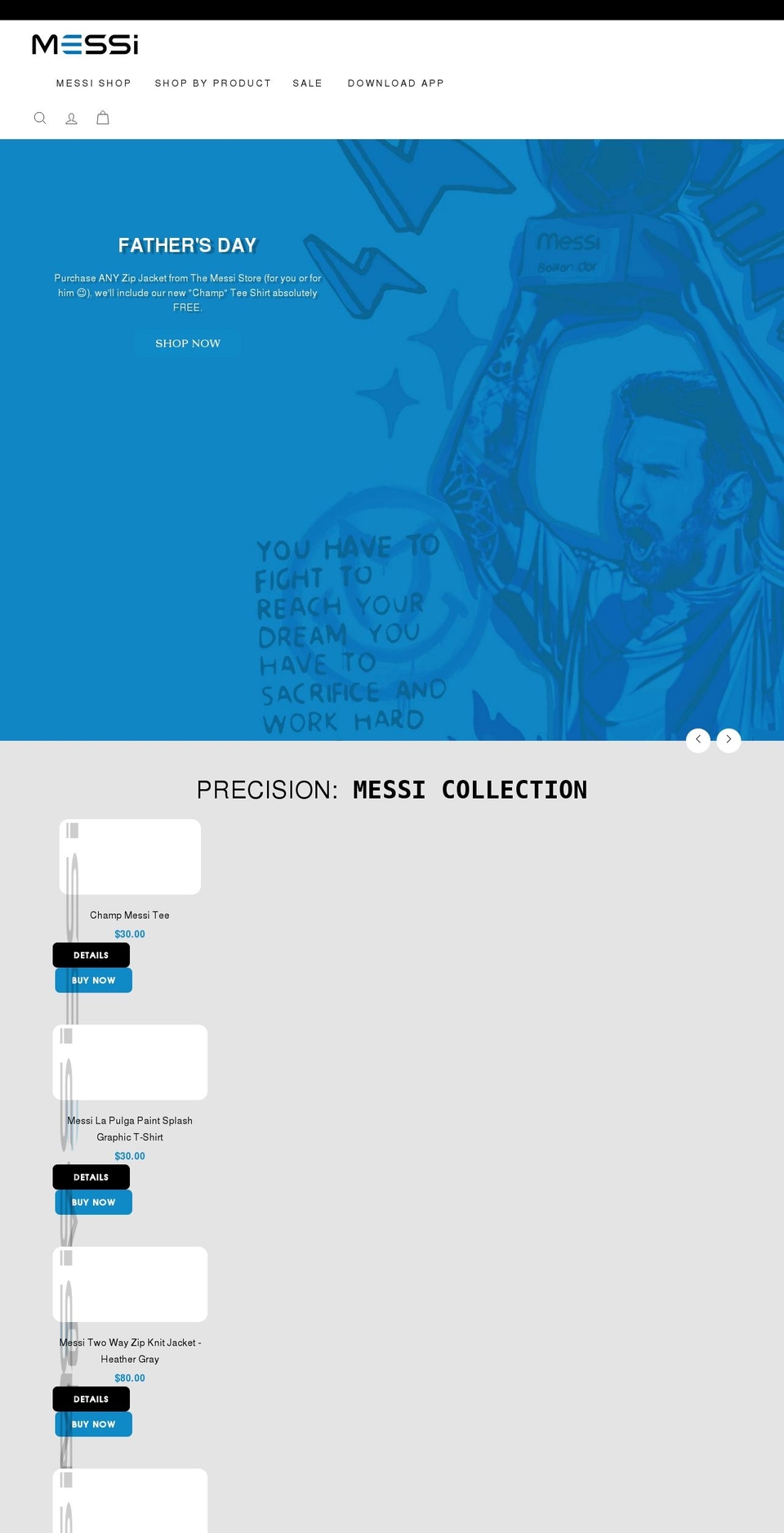 themessistore.com shopify website screenshot
