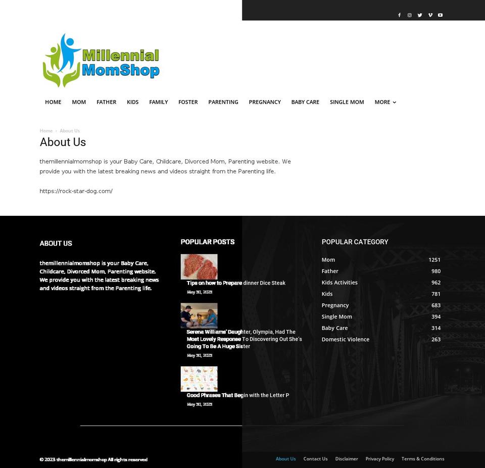 themillennialmomshop.com — Shopify storefront screenshot