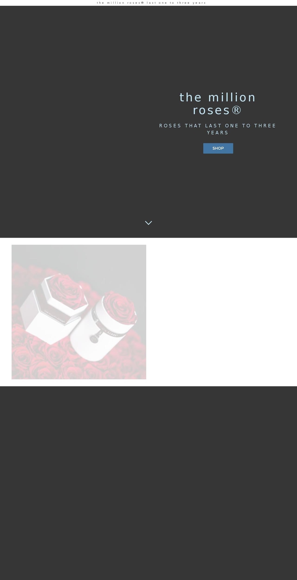 themillionrose.com shopify website screenshot