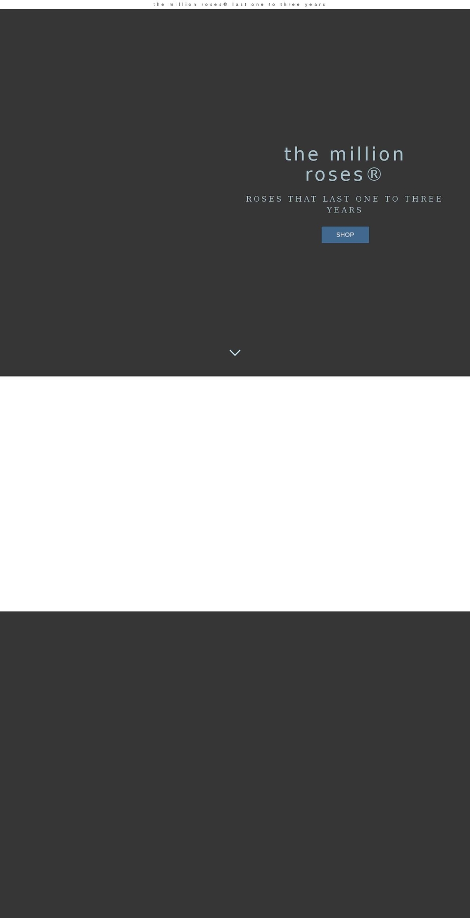 themillionrose.us shopify website screenshot