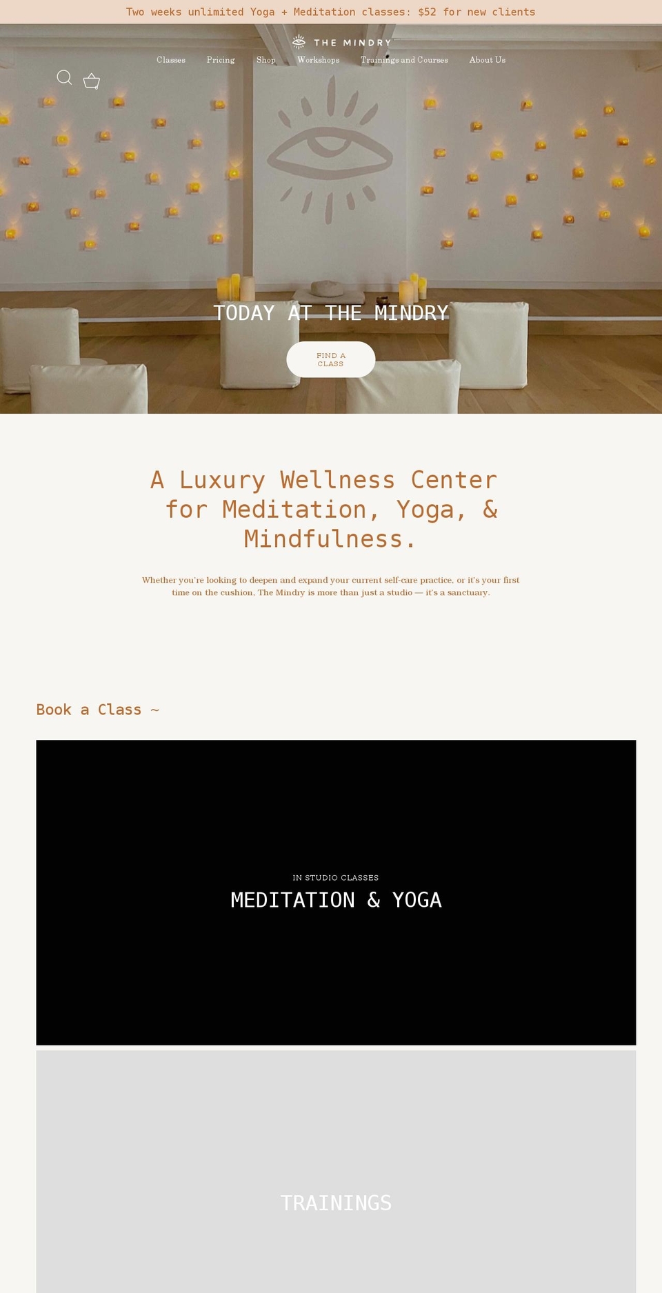 themindry.com shopify website screenshot