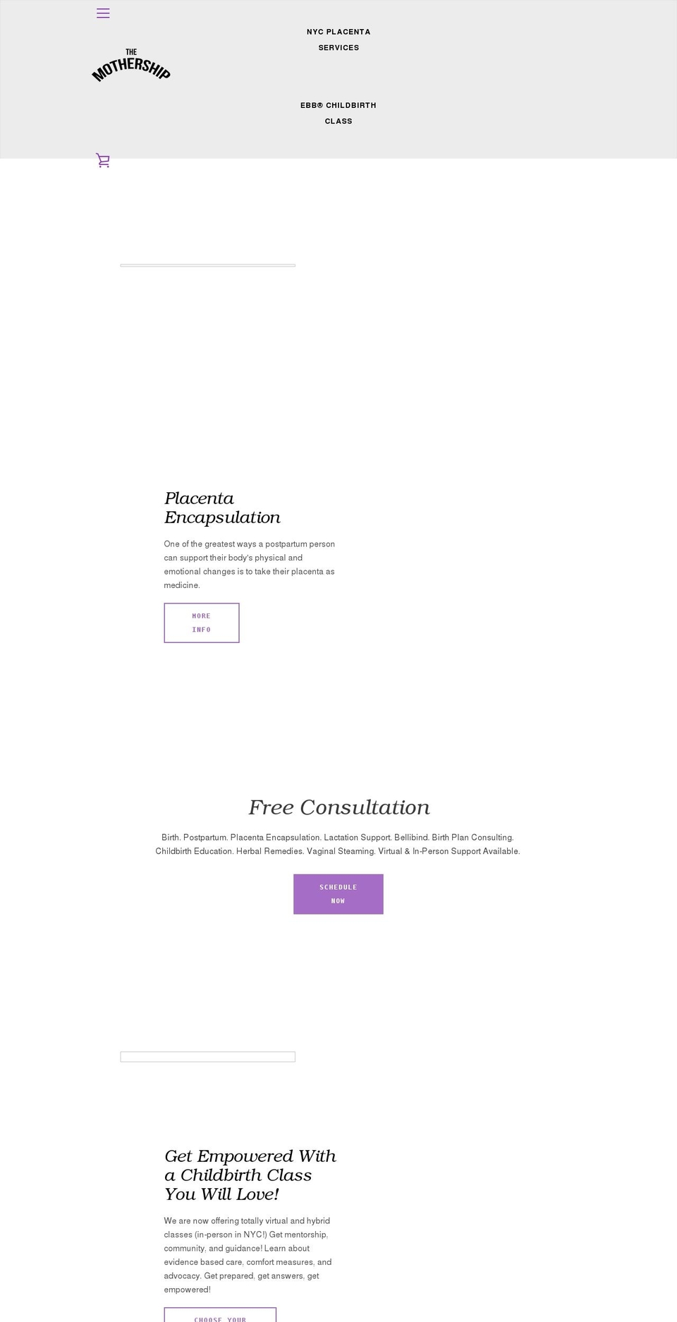themothershipnyc.com shopify website screenshot