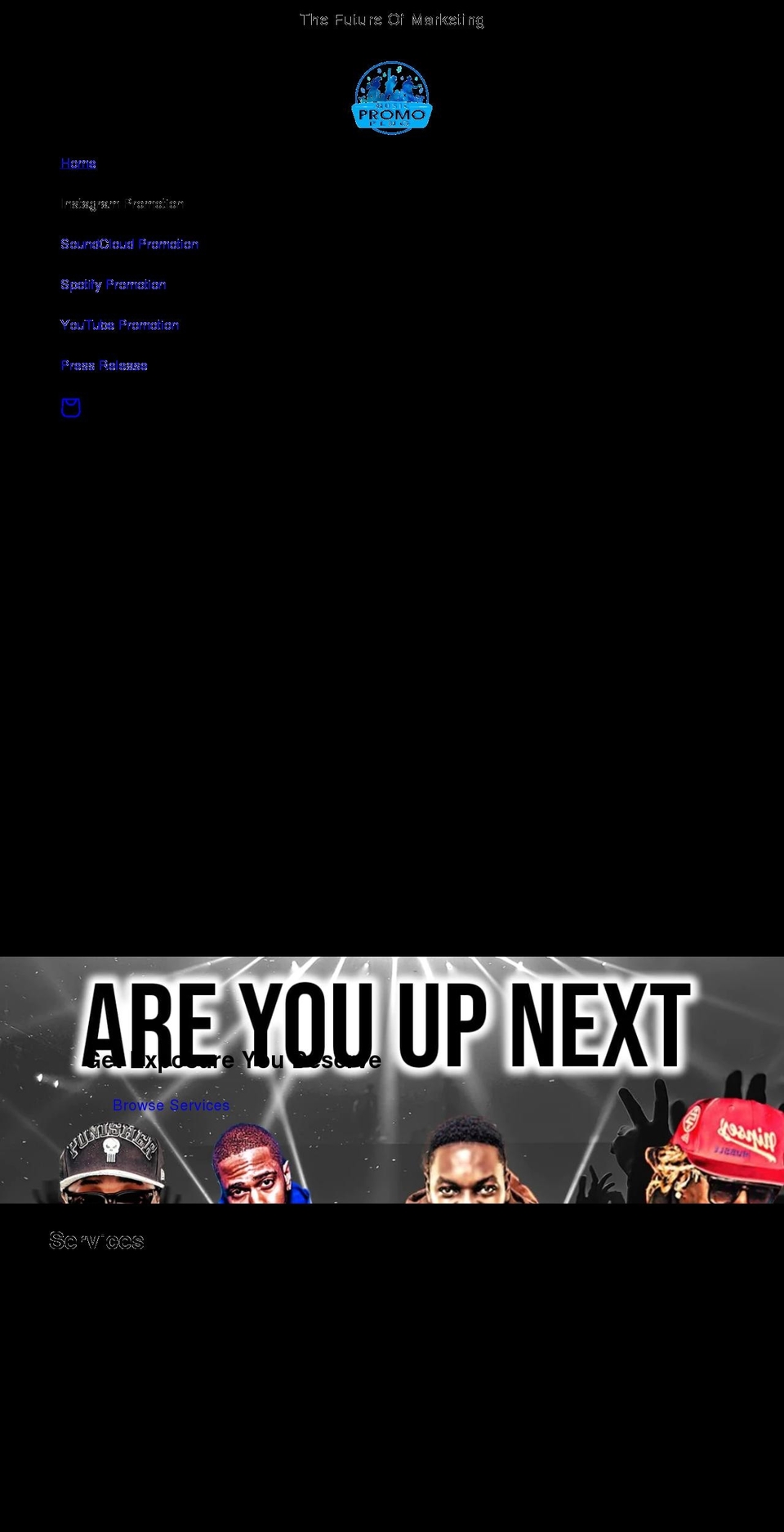 themusicmarketing.com shopify website screenshot