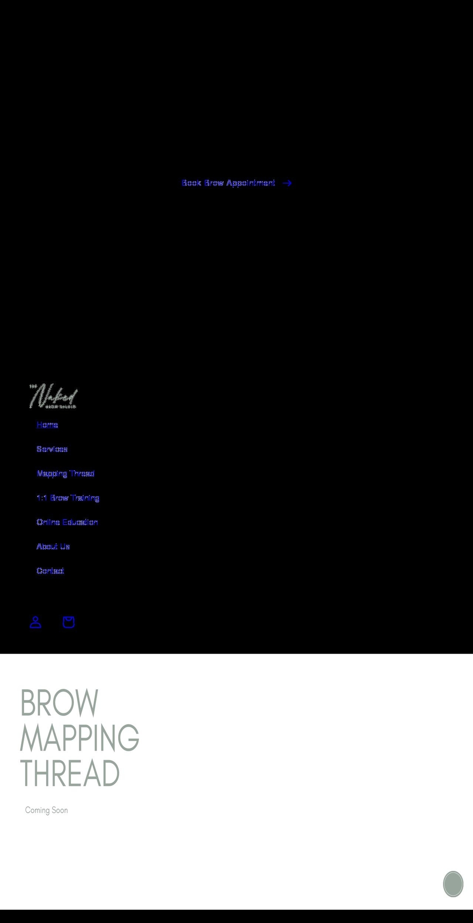 thenakedbrow.com shopify website screenshot