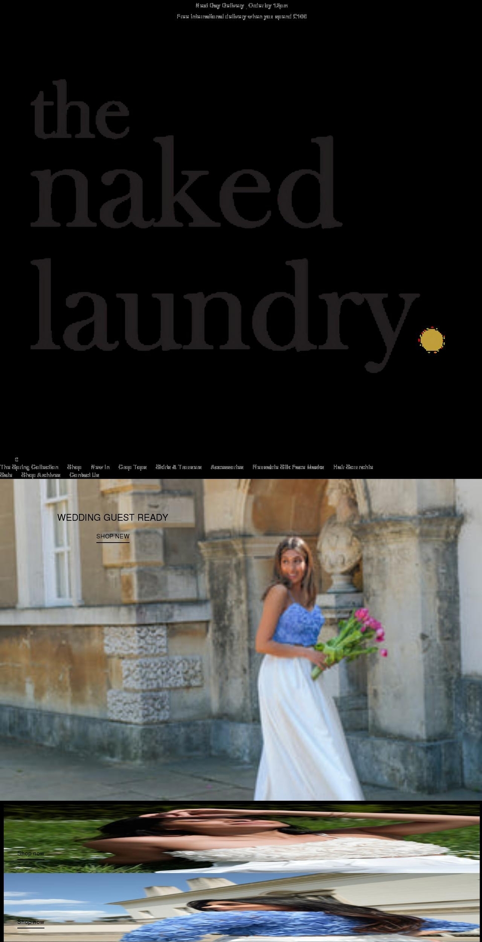thenakedlaundry.com shopify website screenshot