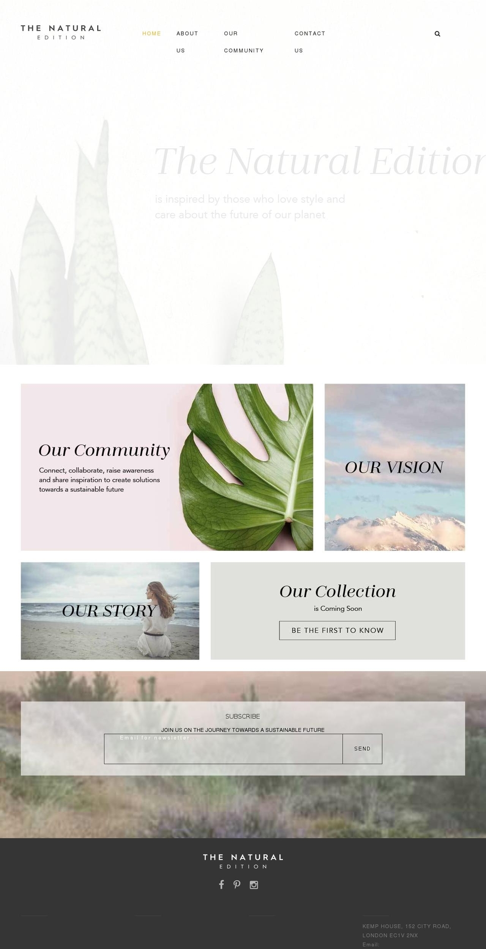 thenaturaledition.com shopify website screenshot