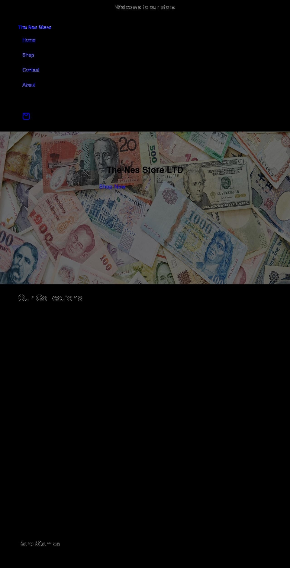 thenesstore.com shopify website screenshot