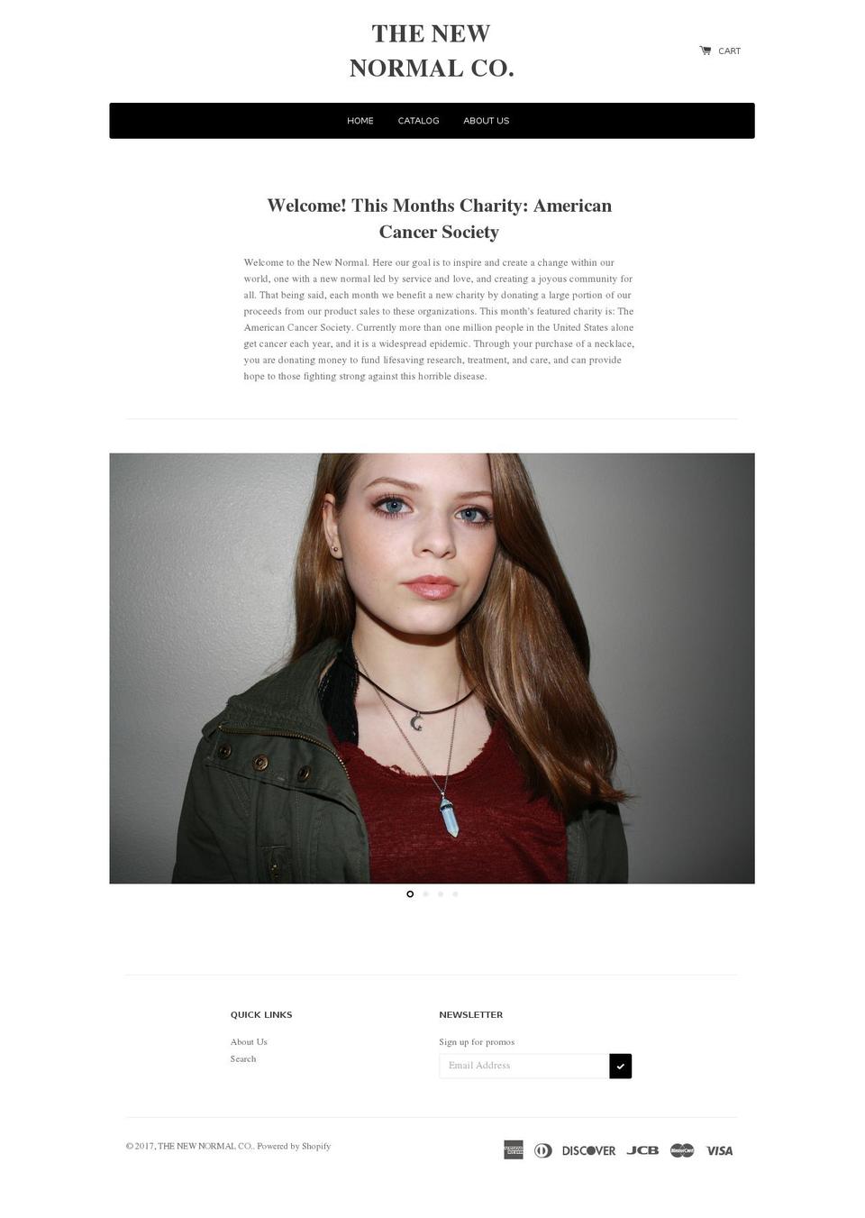 thenewnormalco.com shopify website screenshot