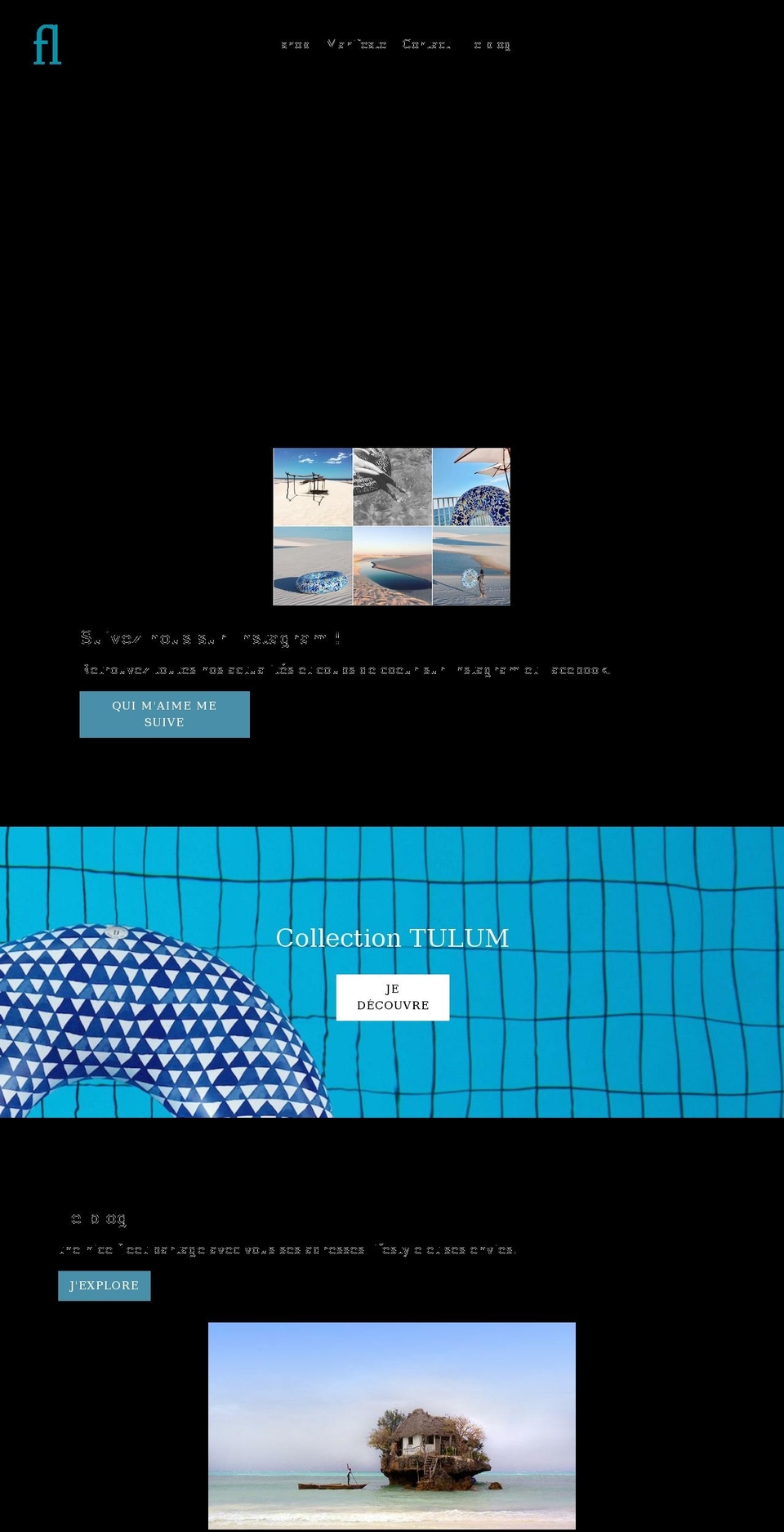 thenicefleet.com shopify website screenshot