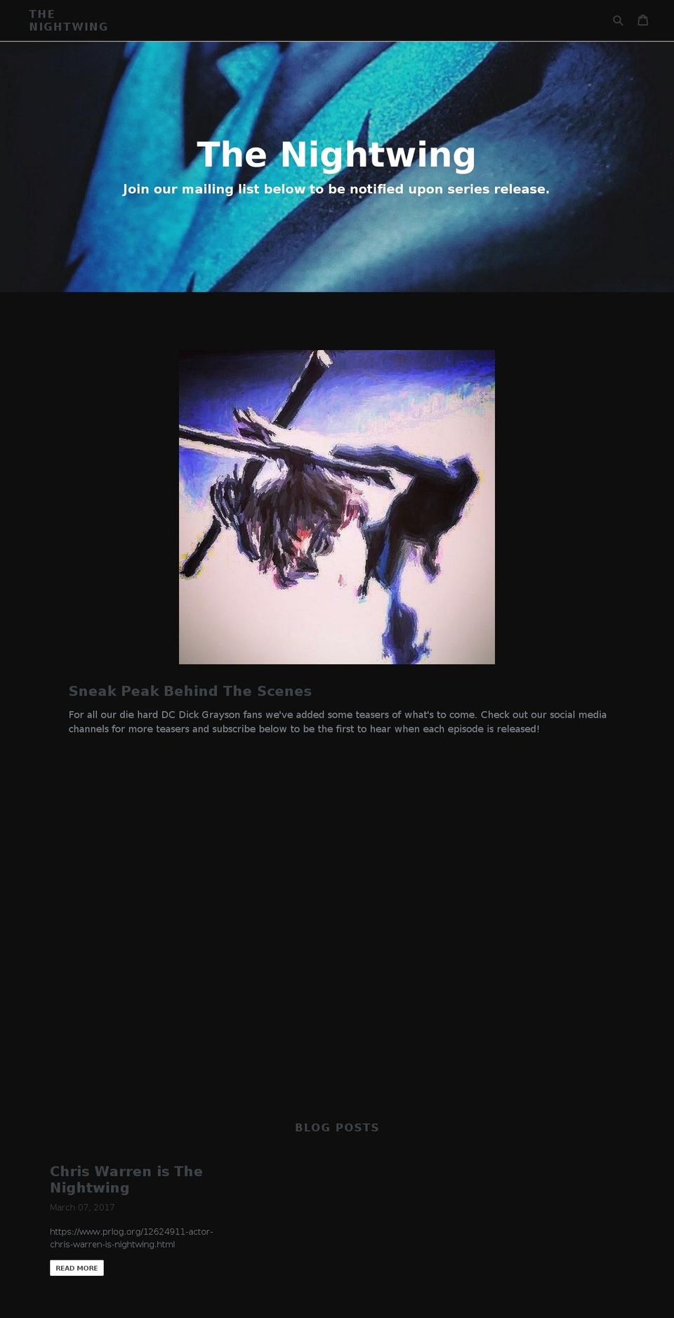 thenightwing.com shopify website screenshot