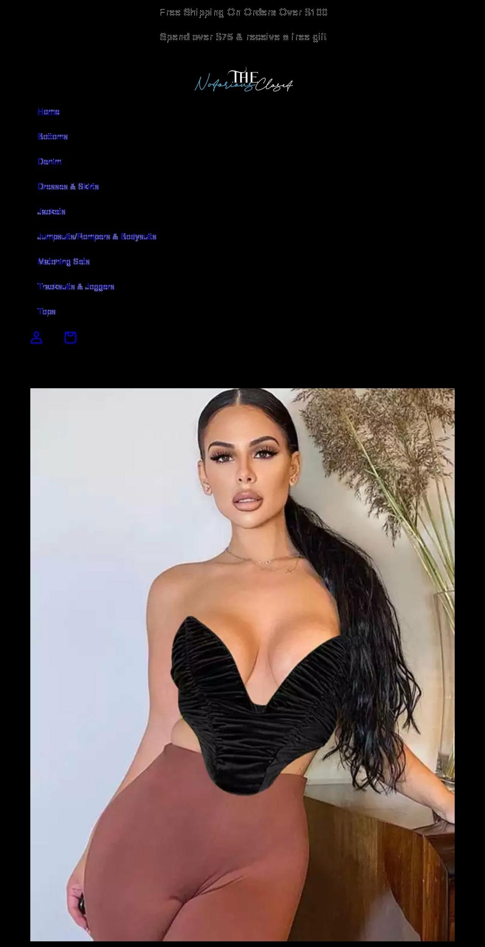 thenotoriouscloset.com shopify website screenshot