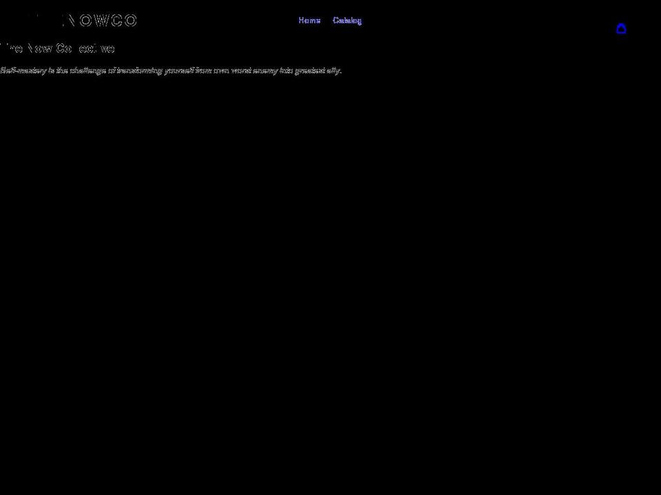 thenowcollective.net shopify website screenshot