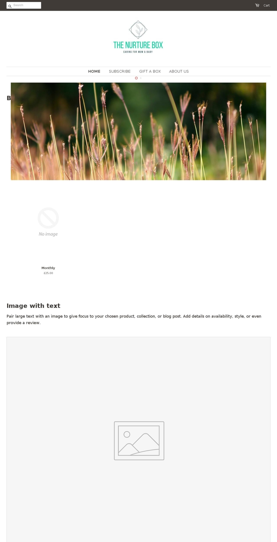 thenurturebox.com — Shopify storefront screenshot