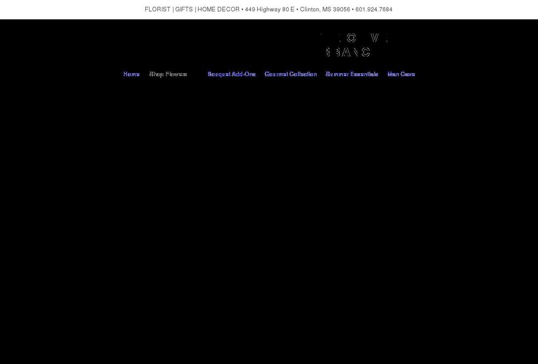 theobranch.com shopify website screenshot