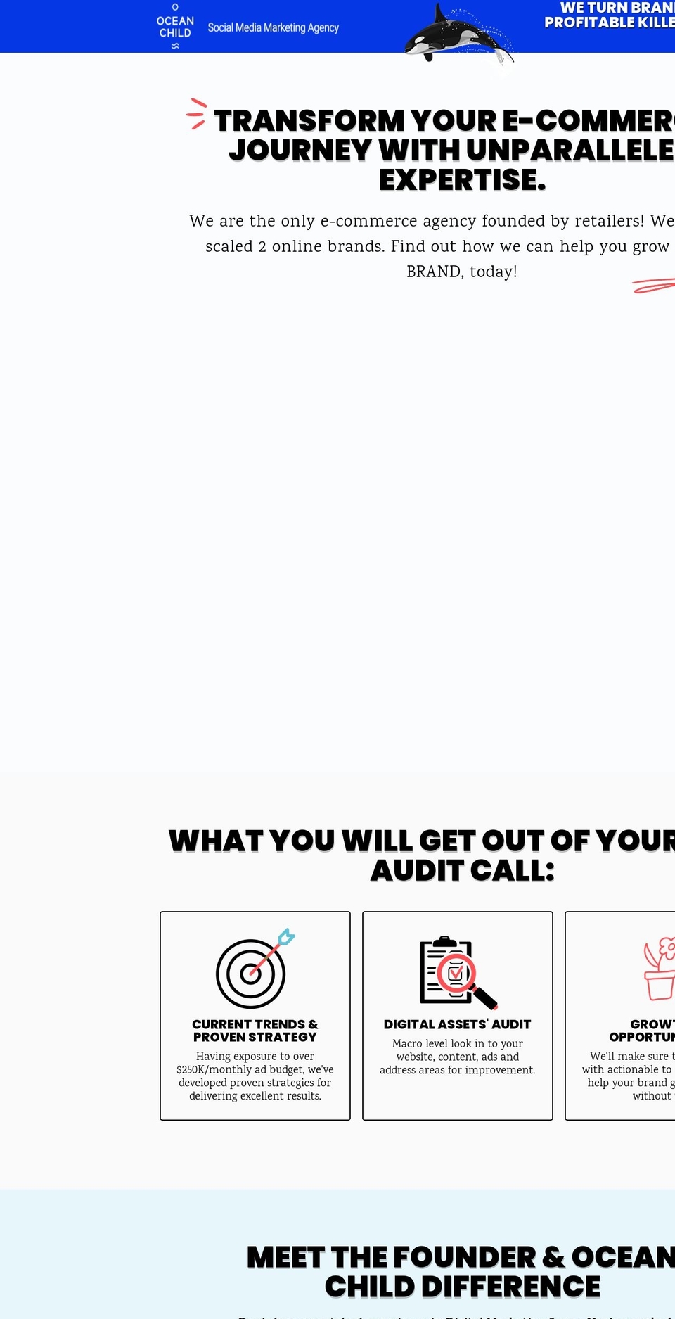 theoceanchild.com — Shopify storefront screenshot
