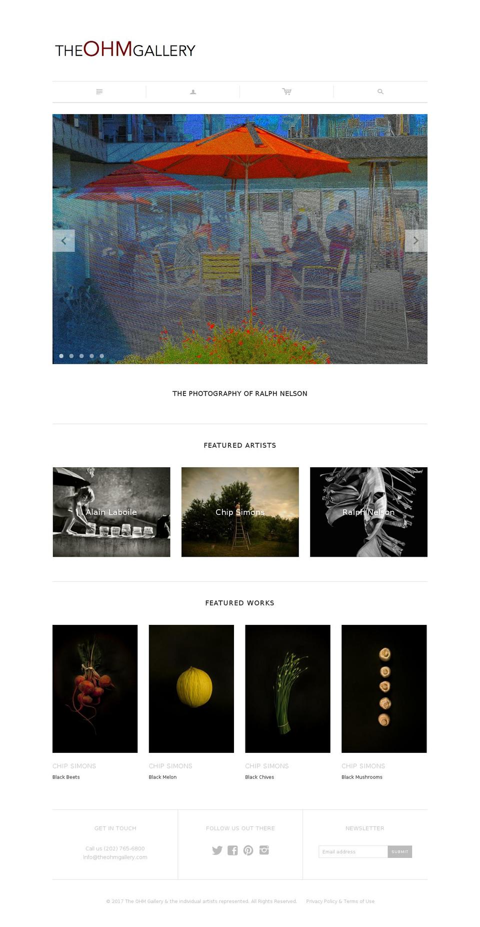 theohmgallery.com shopify website screenshot