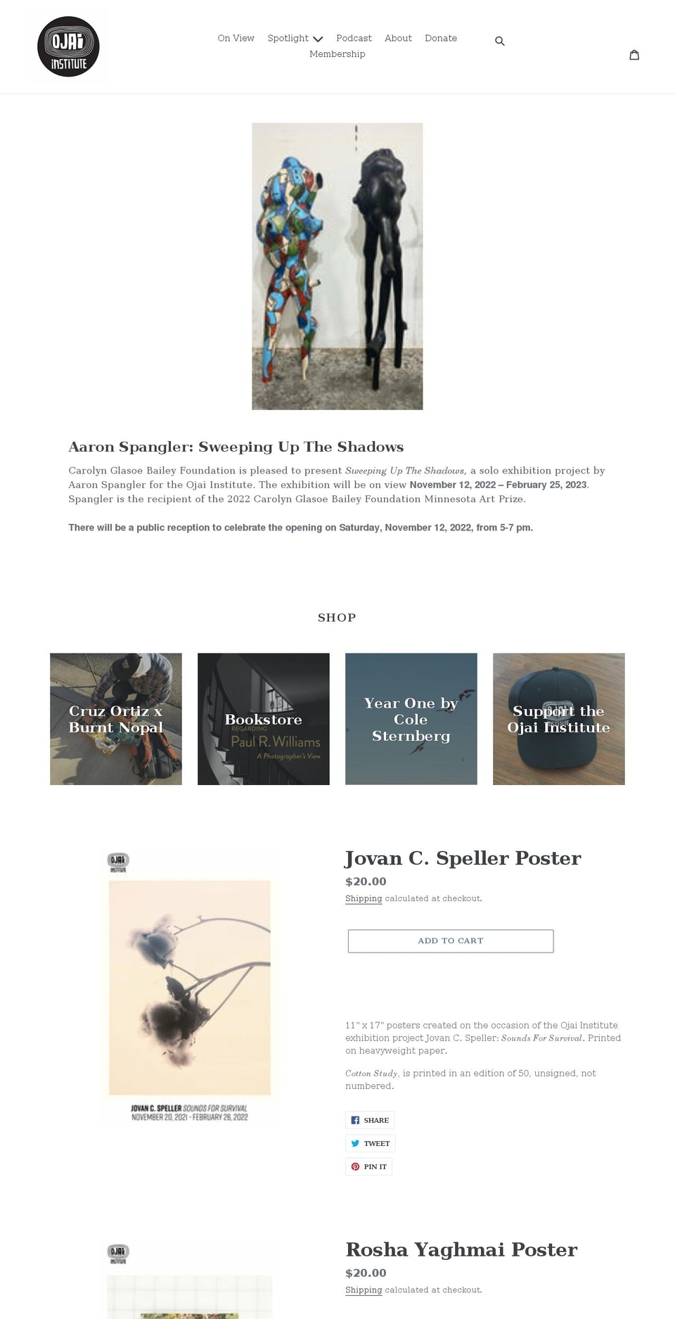 theojaiinstitute.org shopify website screenshot