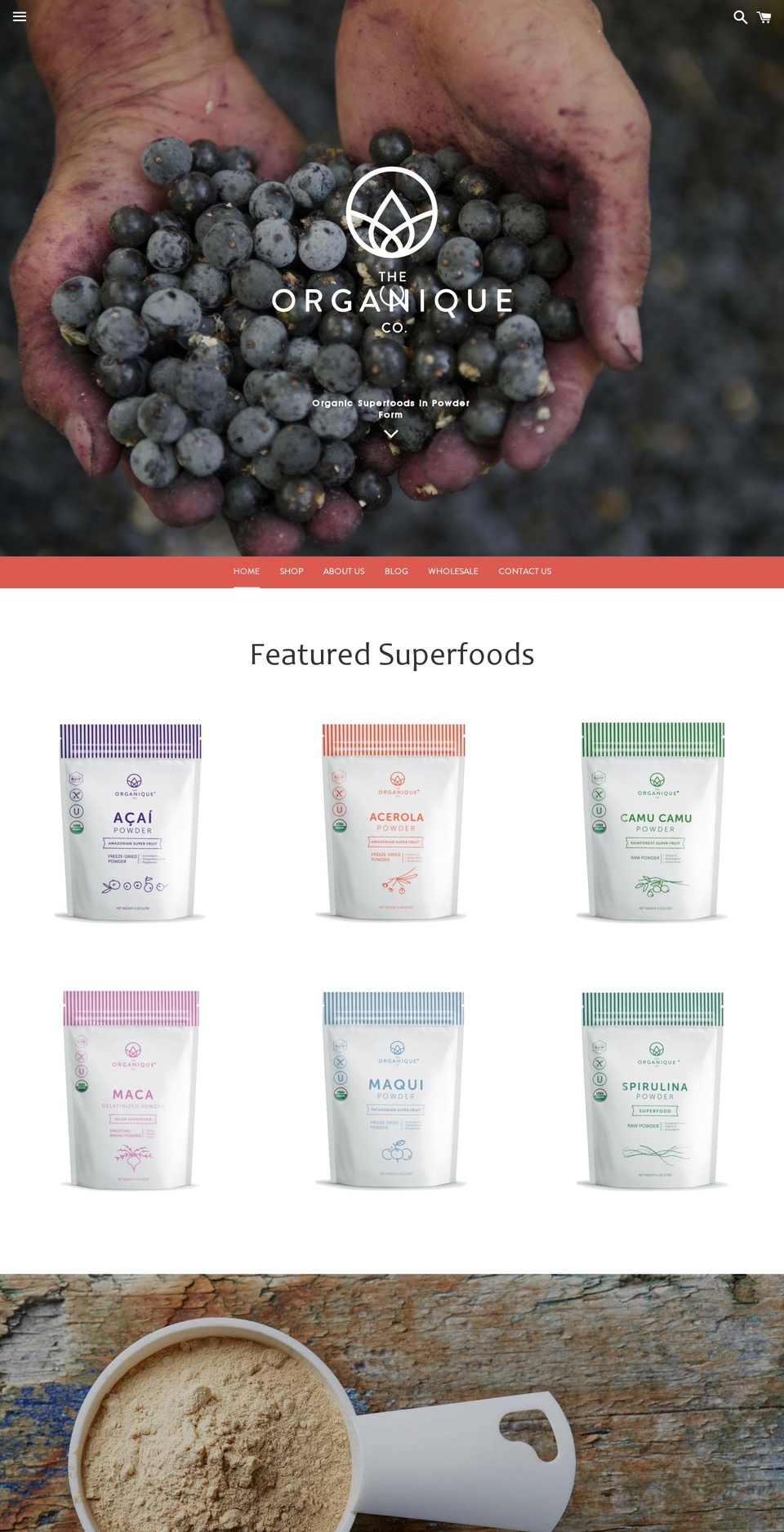 theorganiquecompany.com shopify website screenshot