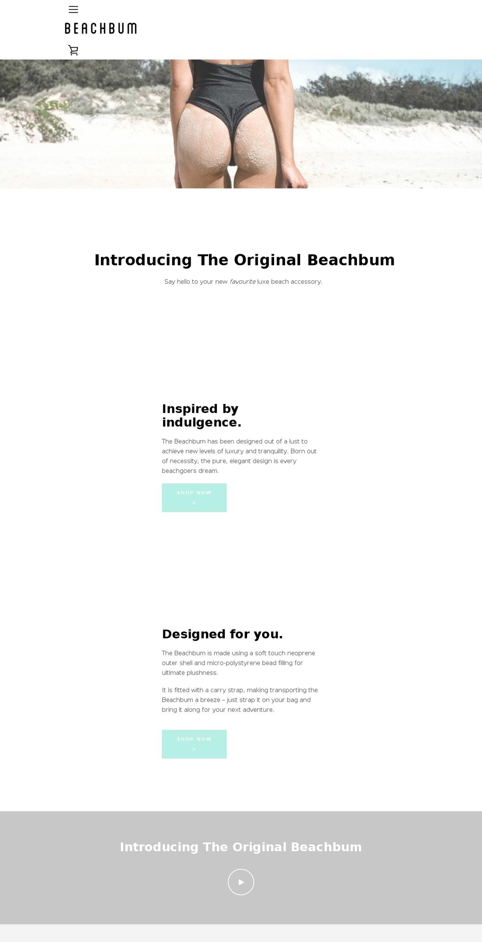 theoriginalbeachbum.com — Shopify storefront screenshot
