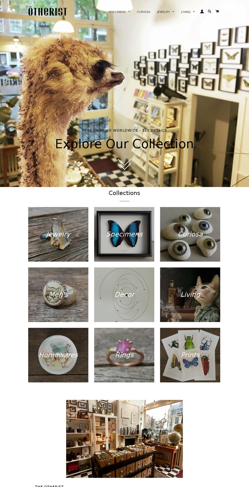 theotherist.com — Shopify storefront screenshot