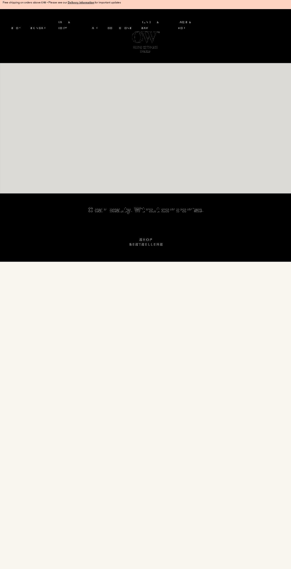theowstore.com shopify website screenshot
