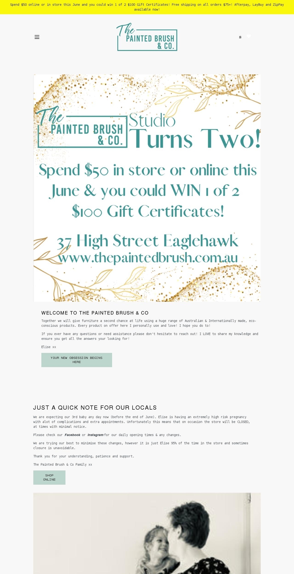 thepaintedbrush.com.au shopify website screenshot