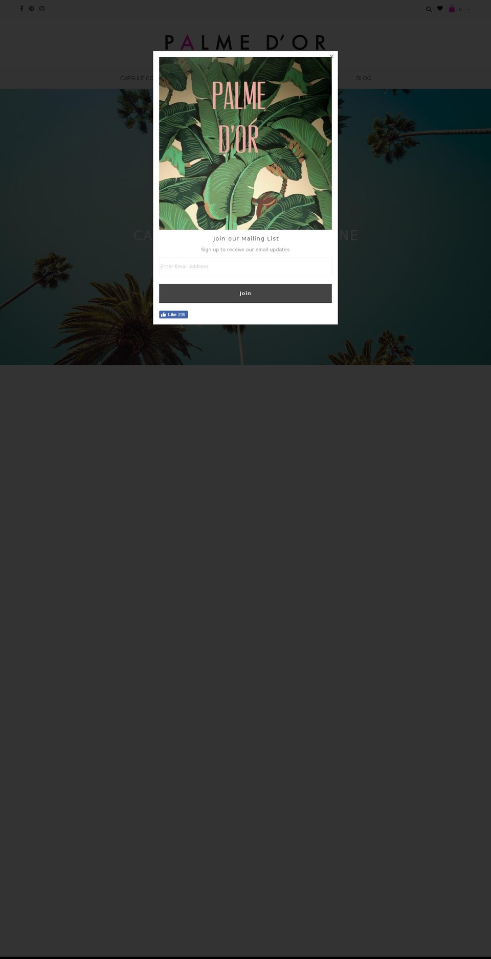 thepalmedor.com shopify website screenshot