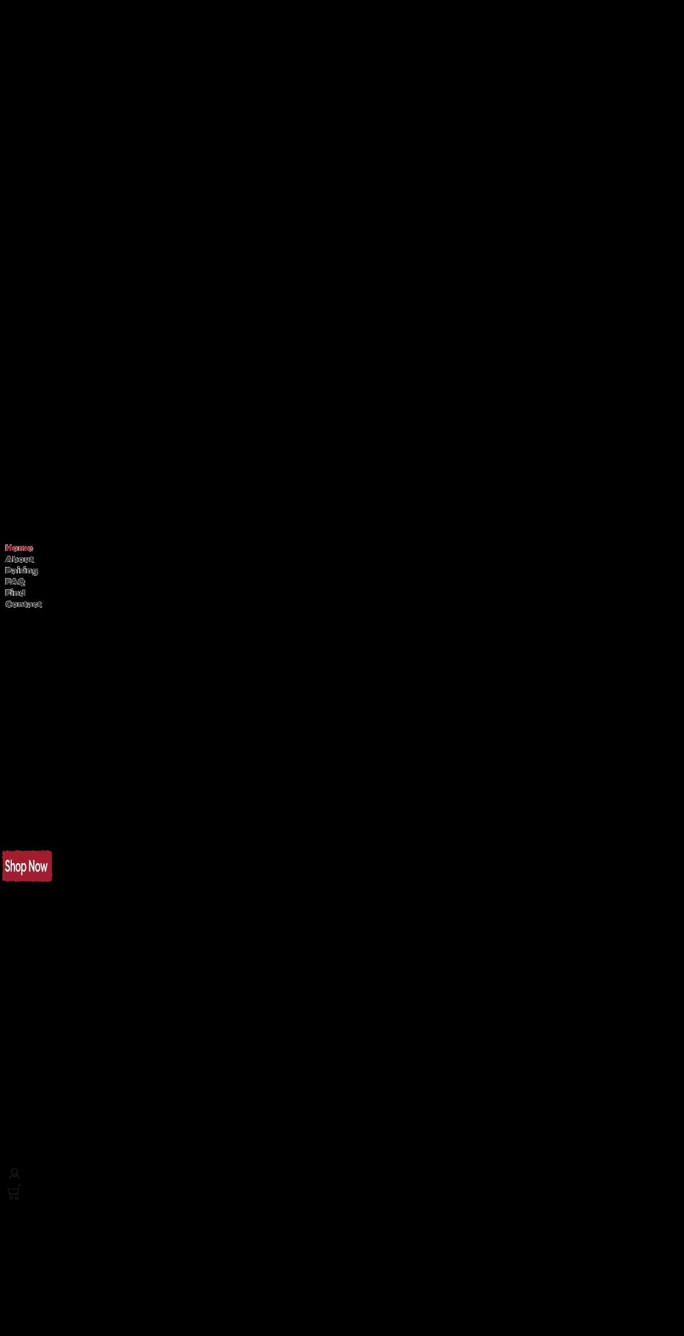 thepanza.com shopify website screenshot