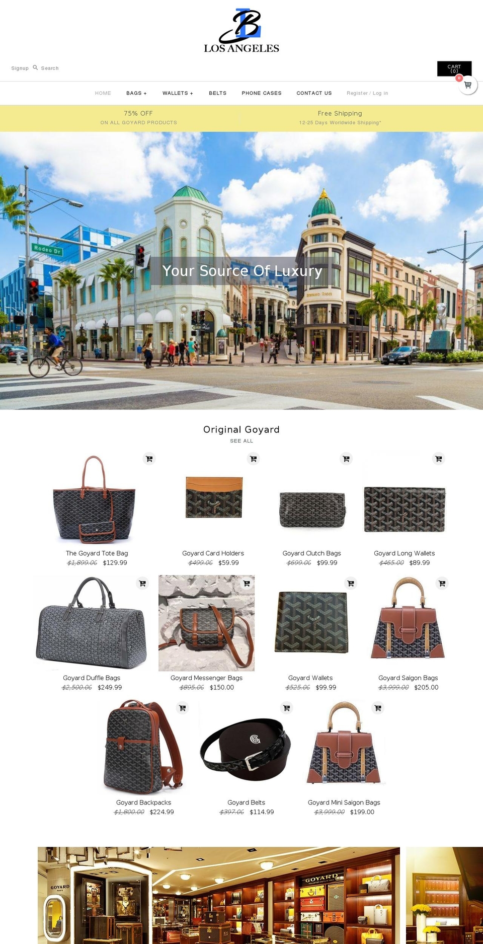 theparisboutique.com — Shopify storefront screenshot