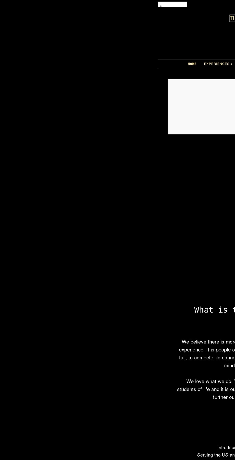 thepickleballexperience.com shopify website screenshot