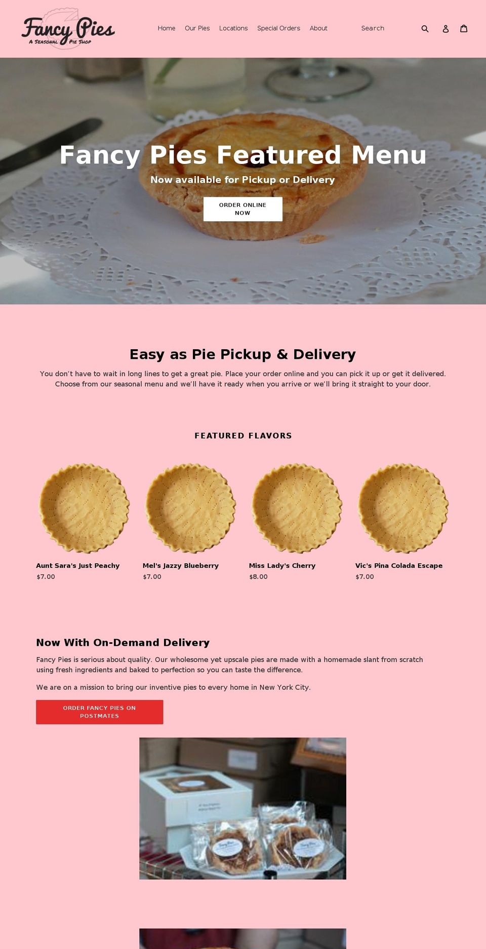 thepieladynyc.com shopify website screenshot