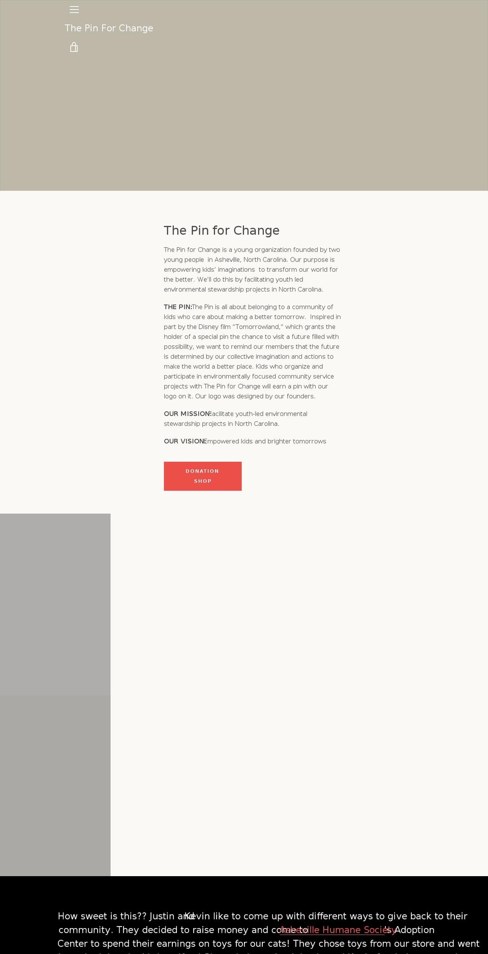 thepinforchange.com shopify website screenshot